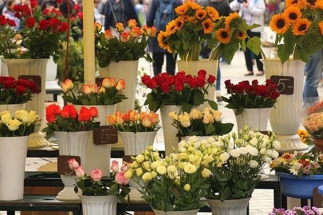 shop hoa tươi giá rẻ tại An Giang